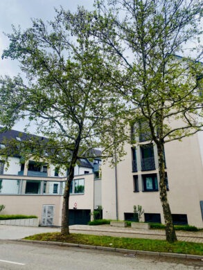 Freier Stellplatz in Freiberg am Neckar, Benninger Straße 23, 71691 Freiberg am Neckar